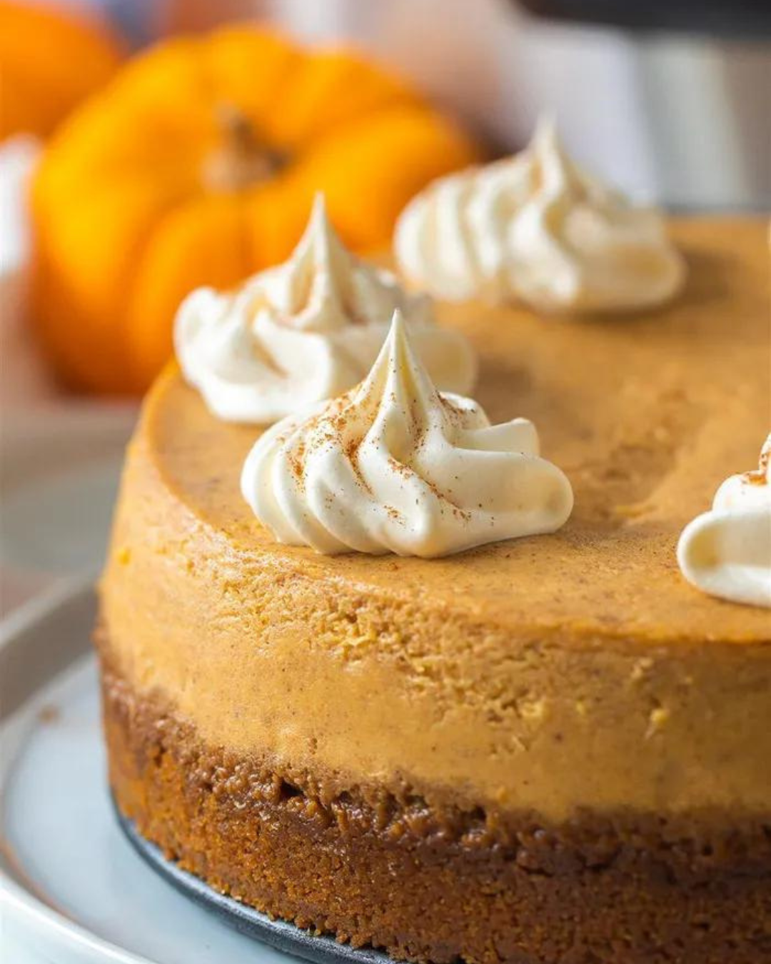 Pumpkin Cheesecake